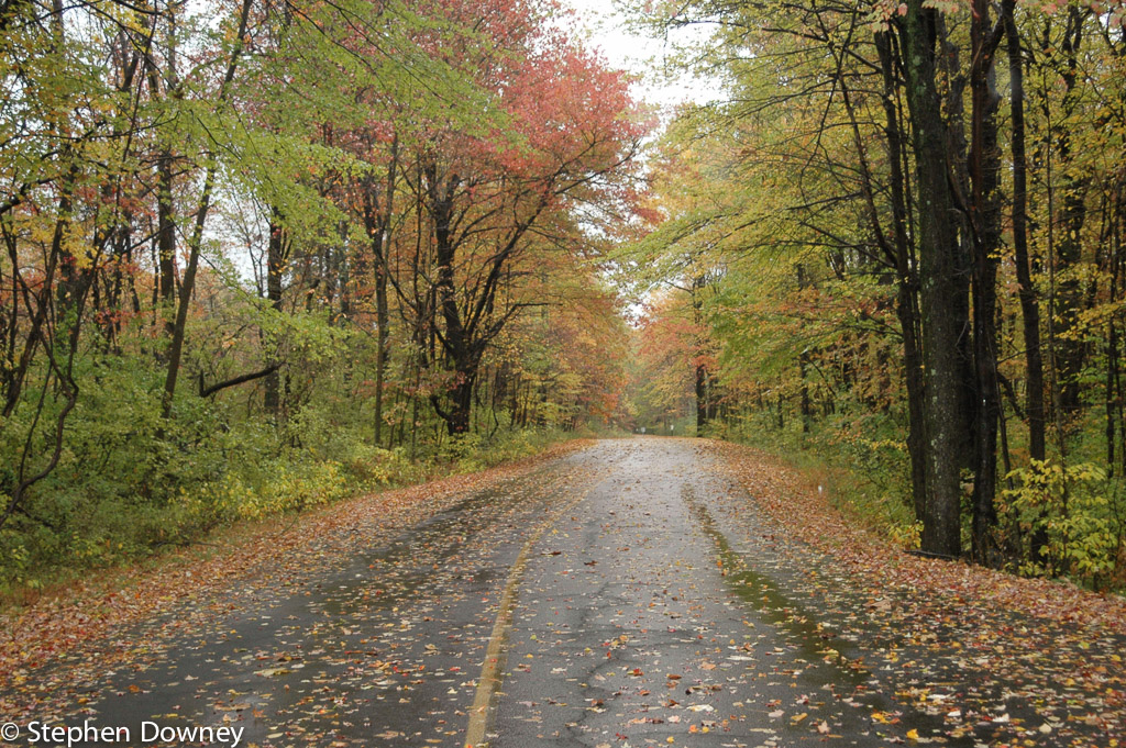 Fall-road.jpg
