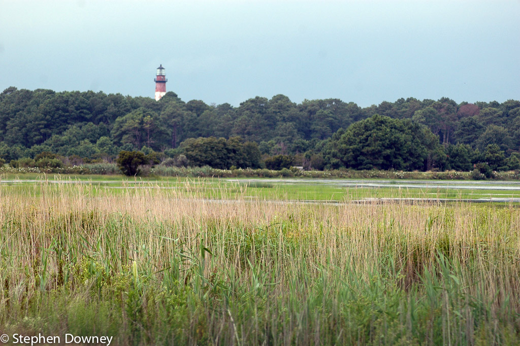 Chincoteague-lighthouse-fro.jpg